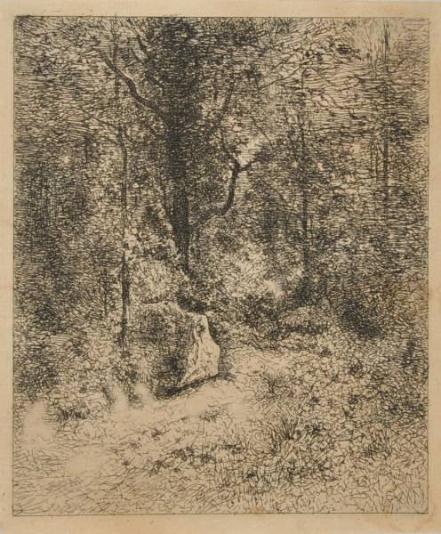 INTERIOR OF FOREST