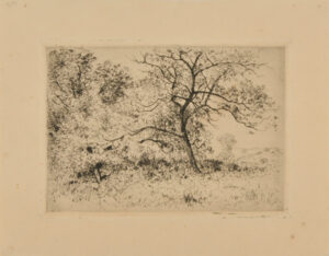 Deux Arbres: Effet de Printemps