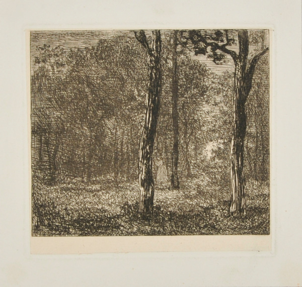 CLEARING IN A FOREST WITH WOMAN BETWEEN TWO CENTER TREES