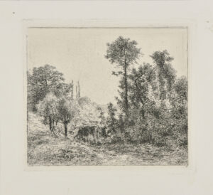 Ruisseau tombant en cascade