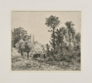 Ruisseau tombant en cascade