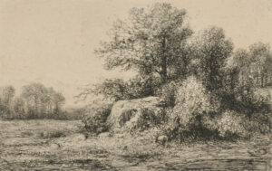 Landscape with great rock in the middle