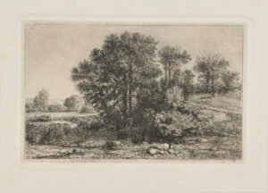 Grande masse d’arbres sur un tertre