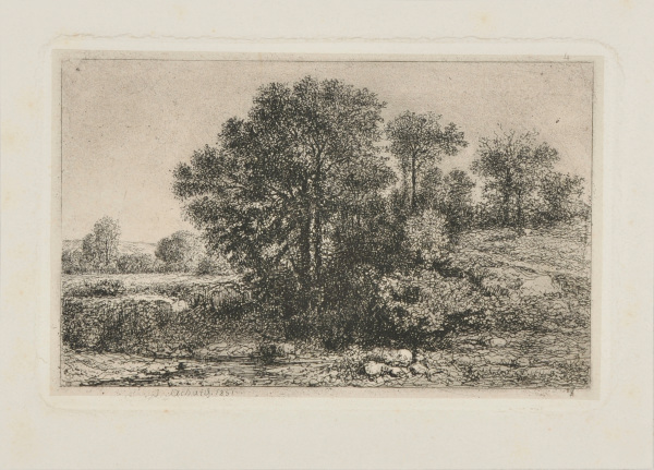 Grande masse d’arbres sur un tertre