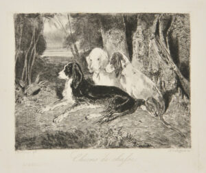 Chiens de chasse