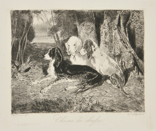 Chiens de chasse