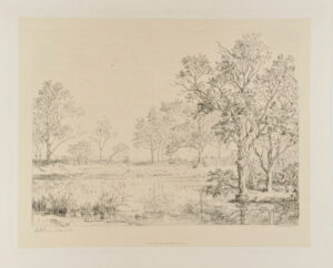 Les Bords d’un étang en Bresse