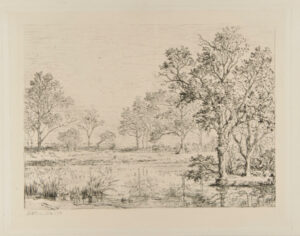 Les Bords d’un etang en Bresse