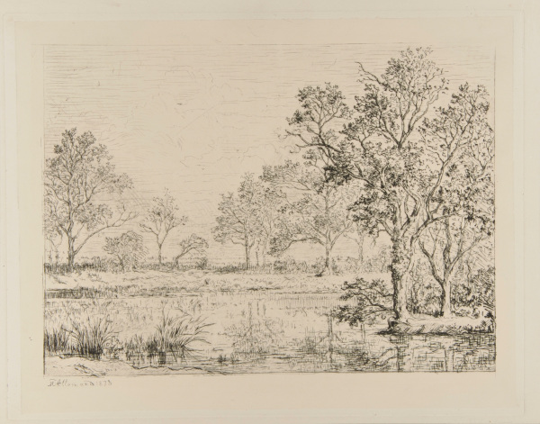 THE BANKS OF A POND IN BRESSE