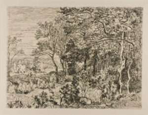 Landscape with Woods
