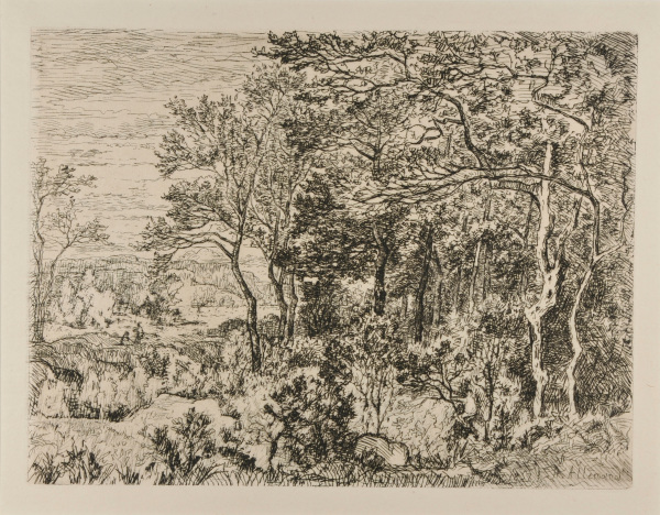 Landscape with Woods