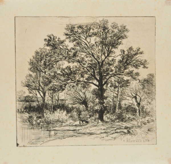 STUDY OF TREES ON THE BANKS OF A POOL