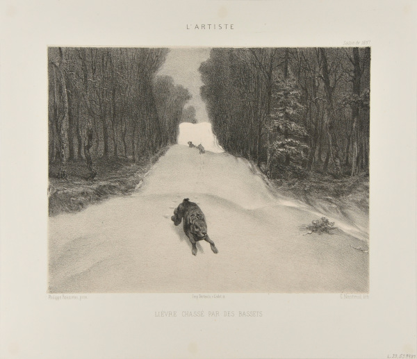 Lièvre Chassé par des Bassets