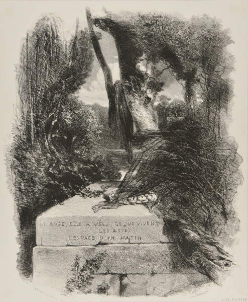 “Et rose elle a vecu ce que vivent les roses, l’espace d’un matin…”