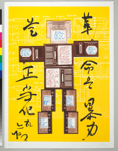 Evolution Revolution Resolution