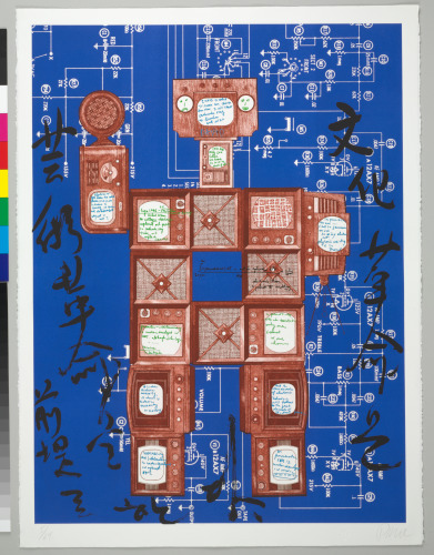 Evolution Revolution Resolution