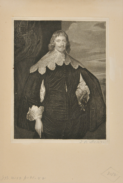 Portrait of a Man with a Lace Collar