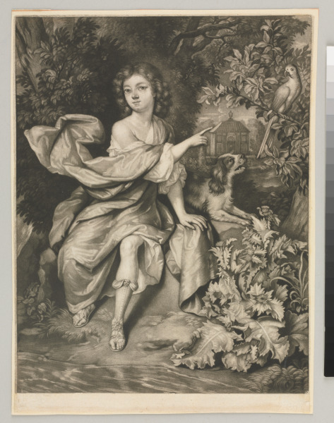 Johannes de Wolff - Image 1