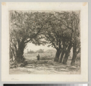 Woman and Dog on Road Shaded by Arching Trees