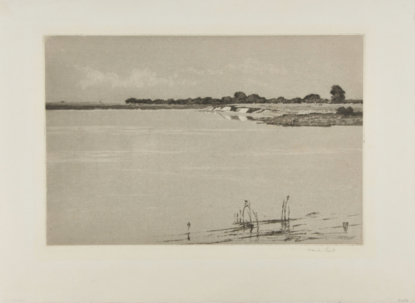 The Silver Tide - Image 2