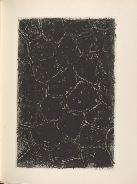 Foirades/Fizzles - Image 22