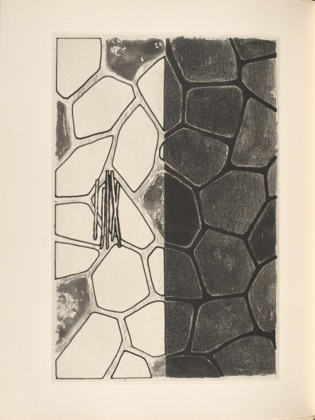 Foirades/Fizzles - Image 21