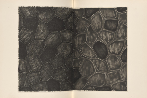 Foirades/Fizzles - Image 12