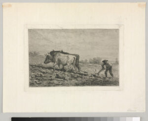 Man with a Team of Oxen Ploughing