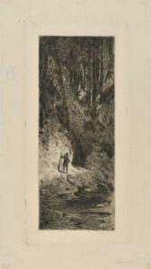 An Indian in a Forest