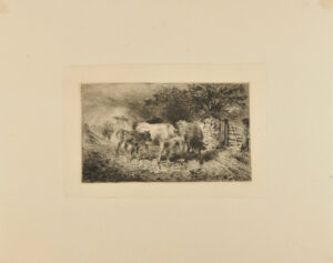 Cattle Returning Home