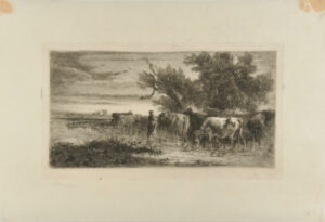 Girl Wading in Stream Guarding Cattle