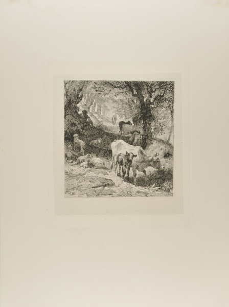 Man Sitting in a Wood Guarding Cows and Sheep