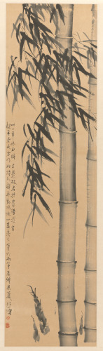 Bamboo - Image 2