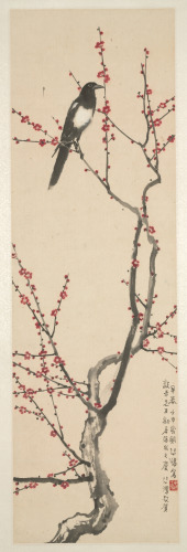 MAGPIE ON FLOWERING PLUM BRANCH