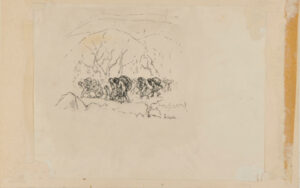 On a Trek Through the Woods