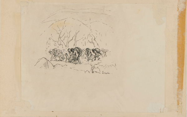 ON A TREK THROUGH THE WOODS