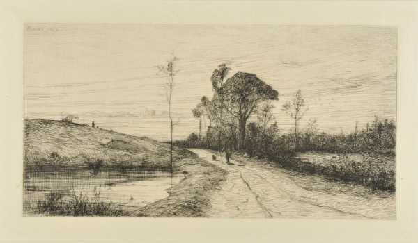 L’Etang Neuf Près de Creys (Isère) - Image 2