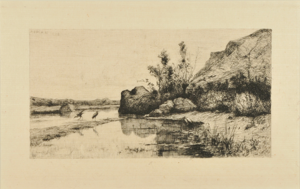 Marais de la Burbanche (Ain.) - Image 2