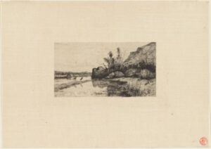 Marais de la Burbanche (Ain.)