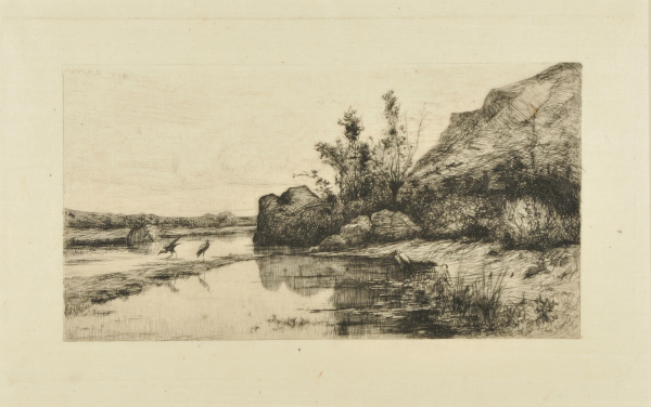 “Marais de la Burbanche (Ain) - Image 2