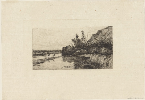 “Marais de la Burbanche (Ain)