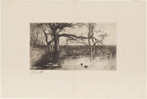 Pond with ducks, at the edge of a forest - Image 1