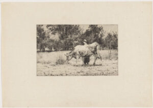 Uno Bergere au printemps