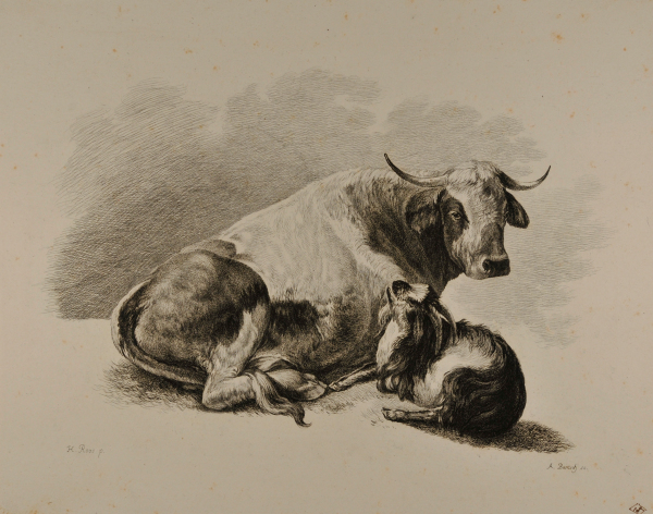 Groupes d’Animaux (Cow and goat)