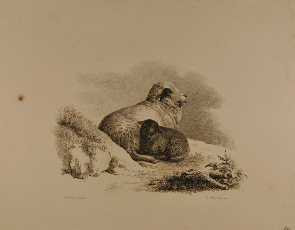Groupes d ‘Animaux (A sheep and lamb lying together by a hillock)