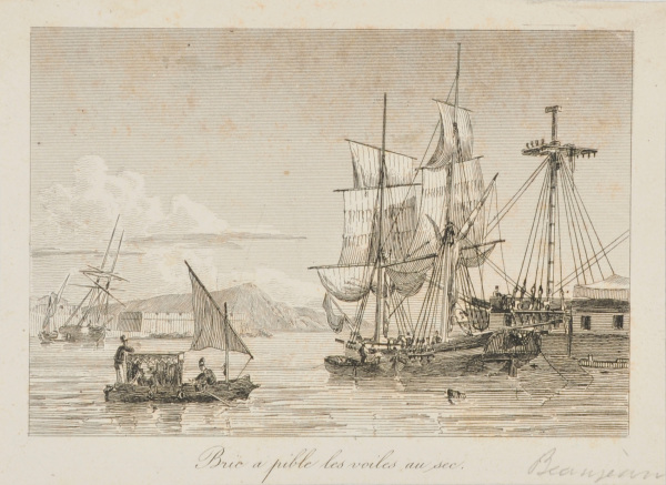 Bric a pible les voiles au sec - Image 2