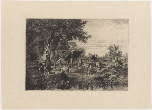 In the Pasture - Image 1