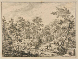 Woods with Pedestrian and Rider