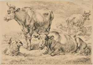 La Vache Couchee pres de celle qui est debout