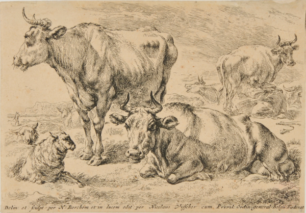 COW LYING DOWN NEXT TO A STANDING COW